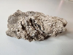Muestra de dolomita Penfield NY 4,5" - Imagen 1 de 3