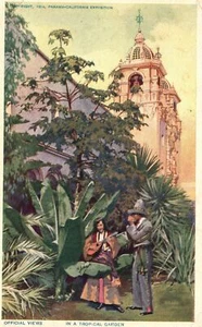 Vintage Postcard 1920's Official View In A Tropical Garden Pan.-Calif Exposition - Picture 1 of 2