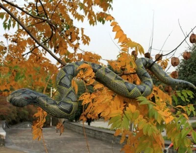 Decoração de festa de aniversário animal zoológico inflável cobra píton grande - Imagem 1 de 4