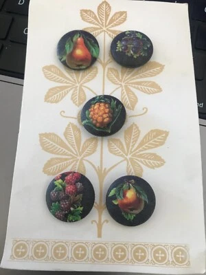 Vintage Lilac Bow Yoke Berkeley CA Set of Five Printed Fabric FRUIT 7/8" Buttons - Image 1 of 3