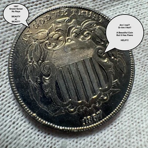 Beautiful 1876 Shield Nickel No Rays Needs Validation YES or NO? HELP COBM-TBD - Picture 1 of 17
