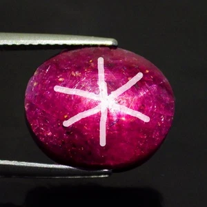 11.66 Ct Pretty Oval (12 x 9 mm)100% Natural Mozambique Red Star Ruby Gemstones - Picture 1 of 7