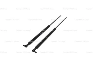 Lamborghini Murcielago Tür Gasfeder Federbein 410837987 - Bild 1 von 3