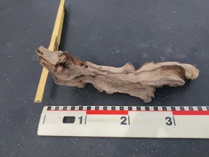 Wurzel für Terrarien oder Aquarium, ca. 40 x 15 x 9 cm, gebraucht - Bild 1 von 3