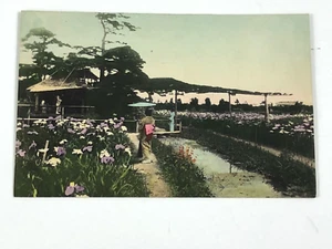 Antique Geisha Lady's waiting n Kimonos hand colored postcard. - Picture 1 of 6