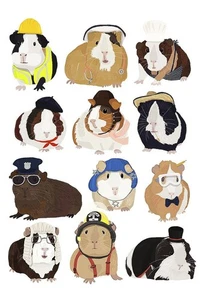 Guinea Pigs Working Art Print by Hanna Melin 11 x 14 in. Paper Size New Unframed - Picture 1 of 1