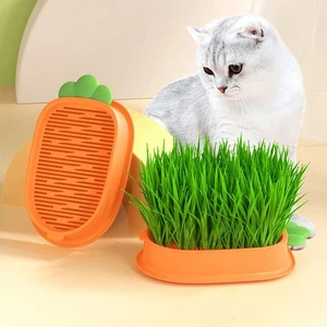 Convenient Growing Tray Sprout Planting Helper Seedling Tray - Picture 1 of 5