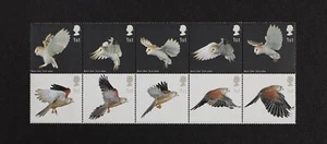 GR BRITAIN 2003 Birds Complete set of 10 stamps Mint NH - Picture 1 of 1