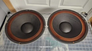 Par de woofers Electro Voice EV-FOUR E-V 4 EV-4 8104475 - Imagen 1 de 19