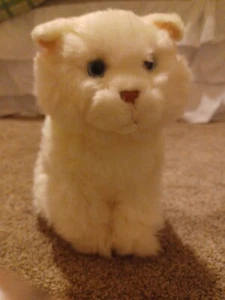 Webkinz Signature Persian Cat Plush  No Code - Picture 1 of 1