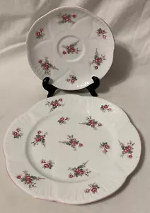 Piatto insalata vintage Shelley England Bone China ROSE SPRAY delicato 8" con piattino orfano - Foto 1 di 6