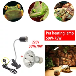 Reptile Heating Light Bulb Tortoise Turtle Lizard UVB UVA Heat Lamp Clip Holder - Picture 1 of 17