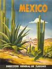 TRAVEL TOURISM MEXICO CACTUS DESERT SUN VILLAGE NEW ART PRINT POSTER CC4427