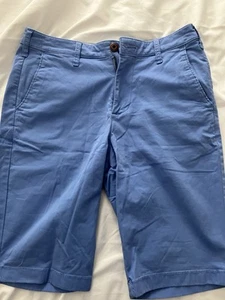 Hollister Men's Shorts Size 30 - Picture 1 of 4