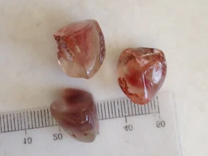 8768 Oregon Plush Sunstone rough Red lot 3 stones with weight of 9.1 GM - Picture 1 of 3