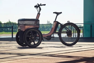 Elektrisches Van Raam Thuja Dreirad für Erwachsene NEU - Bild 1 von 4