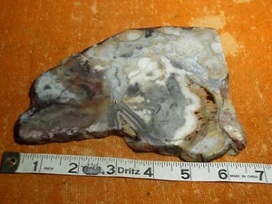 Lastra di Agata Pizzo Pazzo 392 Grammi Cavolo Grezzo Lapidario - Foto 1 di 4