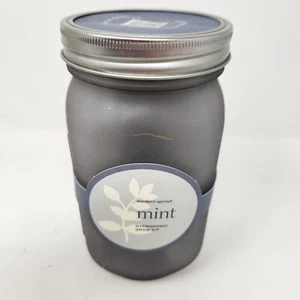 Modern Sprout Mint Garden Jar hydroponic grow kit C3 - Picture 1 of 2