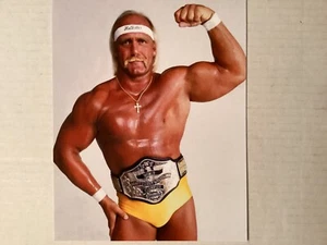 HULK HOGAN  8x10 COLOR PHOTO - Picture 1 of 1