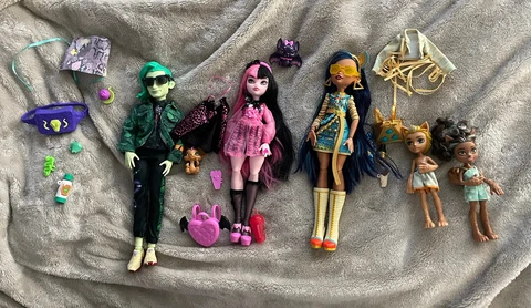 Monster High Doll Mini Lot With Accessories Cover