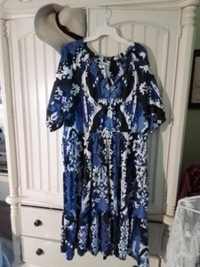 Chico Size 4 Dress - Picture 1 of 5
