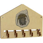 'Trilobite Fossil' Wall Mounted Hooks / Rack (Wh030126)