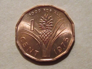 1975 Swaziland 1 Cent PINEAPPLE coin  unc Beaut  Sweet!!  F.A.O. issue ebayship - Picture 1 of 2