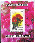 W KOREA 2854 FLOWERS GIFT PLANTS