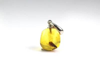 Ciondolo ambra baltica con grande inclusione di insetti MOTH, argento 925, 0,... - Immagine 1 di 4