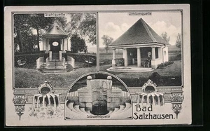 AK Bad Salzhausen, die Lithiumquelle, die Stahlquelle und die Schwefelquelle  - Picture 1 of 2