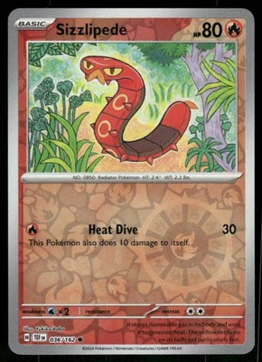 Sizzlipede 036/162 Common Normal NM Pokemon SV05: Temporal Forces - Image 1 of 2
