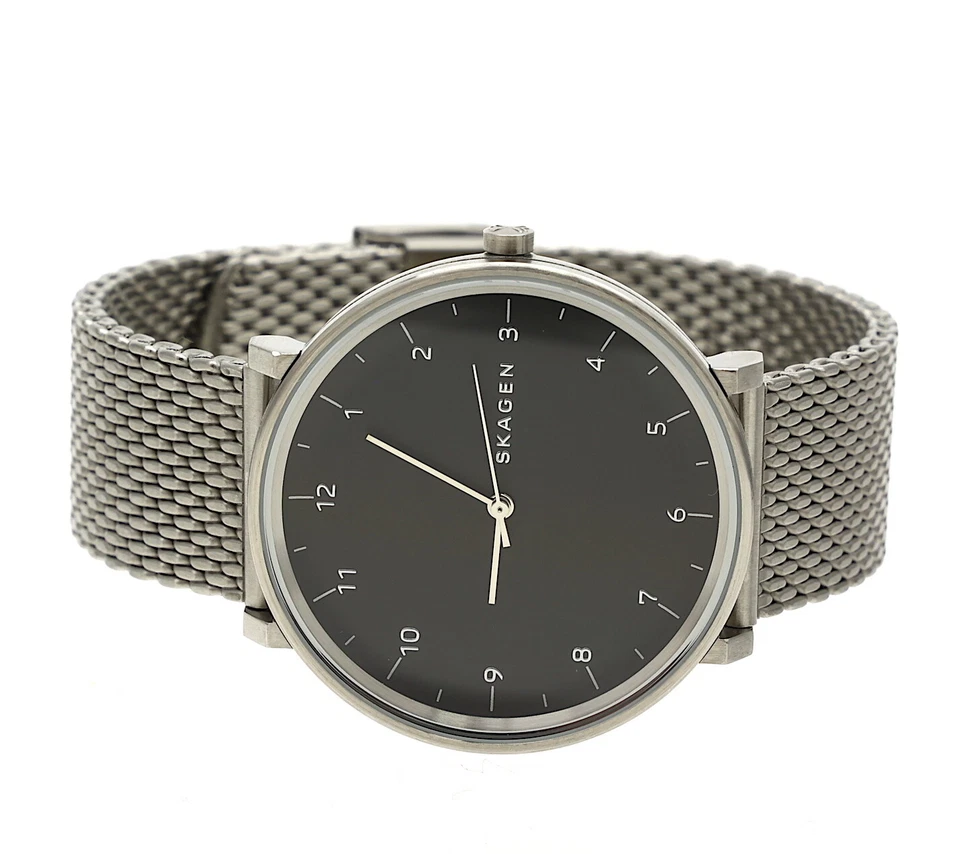 Men's Skagen Hald Gauge Stainless Steel Mesh Bracelet Watch SKW6175
