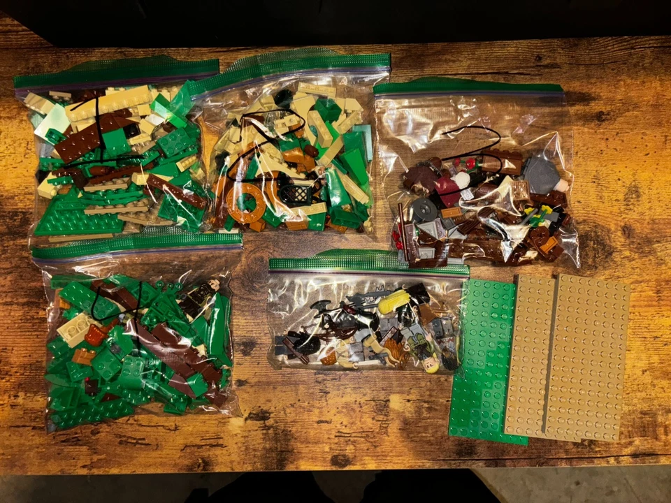 LEGO The Hobbit: An Unexpected Gathering (79003) **READ DESCRIPTION**  - Image 1 of 1