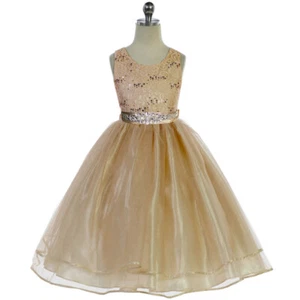 Vestido CHAMPAGNE Talla 14 Niña Flor Cumpleaños Recital Dama de honor Fiesta Formal - Imagen 1 de 2