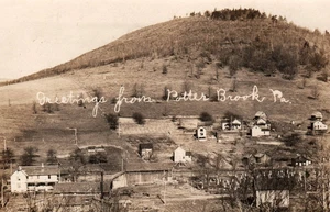 Potter Brook Pa. Birdseye View RPPC Vintage 1910 Postcard - Picture 1 of 2