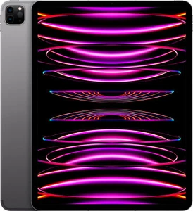 Apple iPad Pro (12.9") 6th Gen 256GB Space Gray Cellular MP203VC/A - Picture 1 of 1