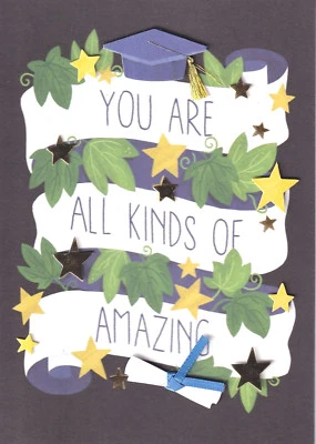 PAPYRUS GRADUATION CARD NIP MSRP $6.95 AMAZING CARD (M3) - Image 1 of 3