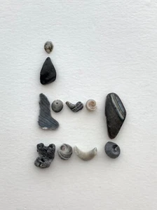 Natürliche Buchstabenform ICH LIEBE DICH! Strandmuscheln Valentine Art/Handwerk Muschel USA - Bild 1 von 12