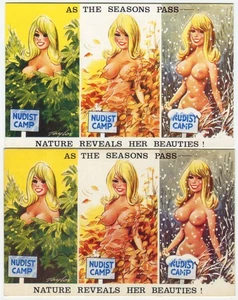 1 CARD & PROOF -NUDIST CAMP, TAYLOR - Comic Saucy Postcard, Bamforth No. 2462 - Picture 1 of 2