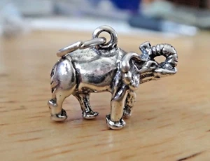 Ciondolo in argento sterling 3D 11x15 mm elefante zoo animale - Foto 1 di 5