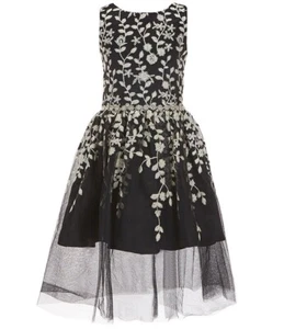 Rare Editions Big Girls Sleeveless Embroidered/Shirred Fit&Flare Dress Size 16 - Picture 1 of 11