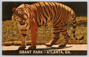 Postal Royal Bengal Tiger Grant Park Atlanta Georgia Panthera tigris tigris - Imagen 1 de 2