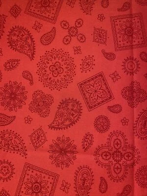 Hometowm Summer by JENNI CALO Connecting Threads Cotton Fabric Red 31” x 46” - Image 1 of 4