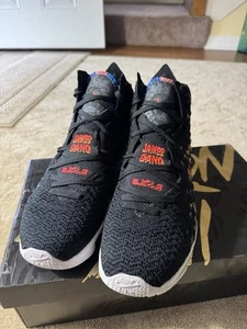 Size 10.5 - Nike LeBron 17 James Gang Brand New In Box. - Picture 1 of 9