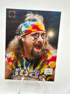 2024 WWE - Fotogénico - Base - #129 Dude Love - Imagen 1 de 2