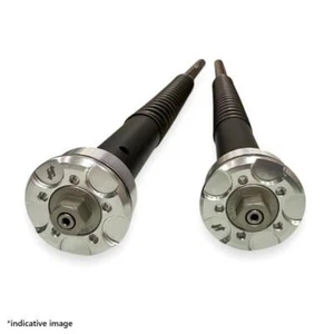 Cartucce forcella Andreani Evo2 BMW G310GS 2017-2020 - Picture 1 of 5