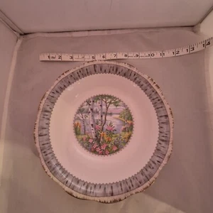 Royal Albert Silver Birch flawed large round serving bowl vegetable  UK China - Imagen 1 de 5