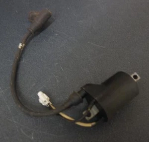 Polaris OEM Snowmobile Ignition Coil Assembly Mag Side RMK Fusion Switchback - Picture 1 of 2