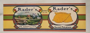 Label Can Rader Sweet Potatoes Bristol Tennessee Yams - Picture 1 of 1