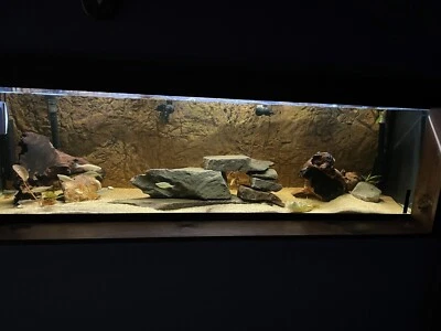 125 gallon fish tank - Image 1 of 4